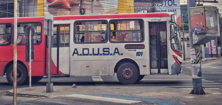 🚌Von der Tastatur auf die Straßen Asuncións: Mein Tag zwischen Work & Play