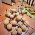 Alltag – Kaffee, Wäsche, und Arbeit …