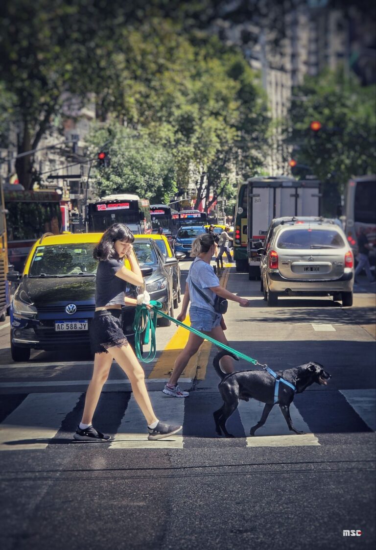 Das Monumento de Francia a la Argentina