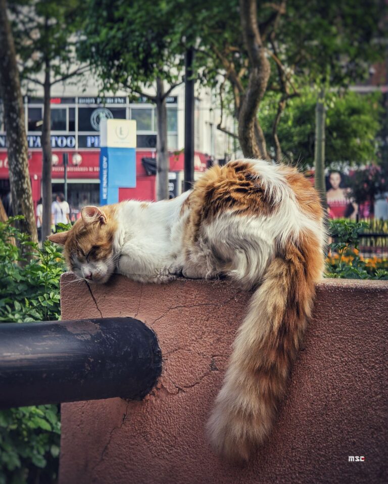 Ein ganz normaler schöner Tag in Lima
