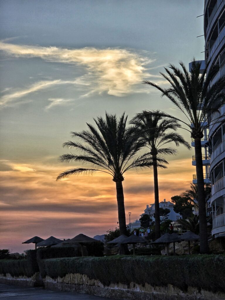 So schöne Sonnenuntergänge 🌅