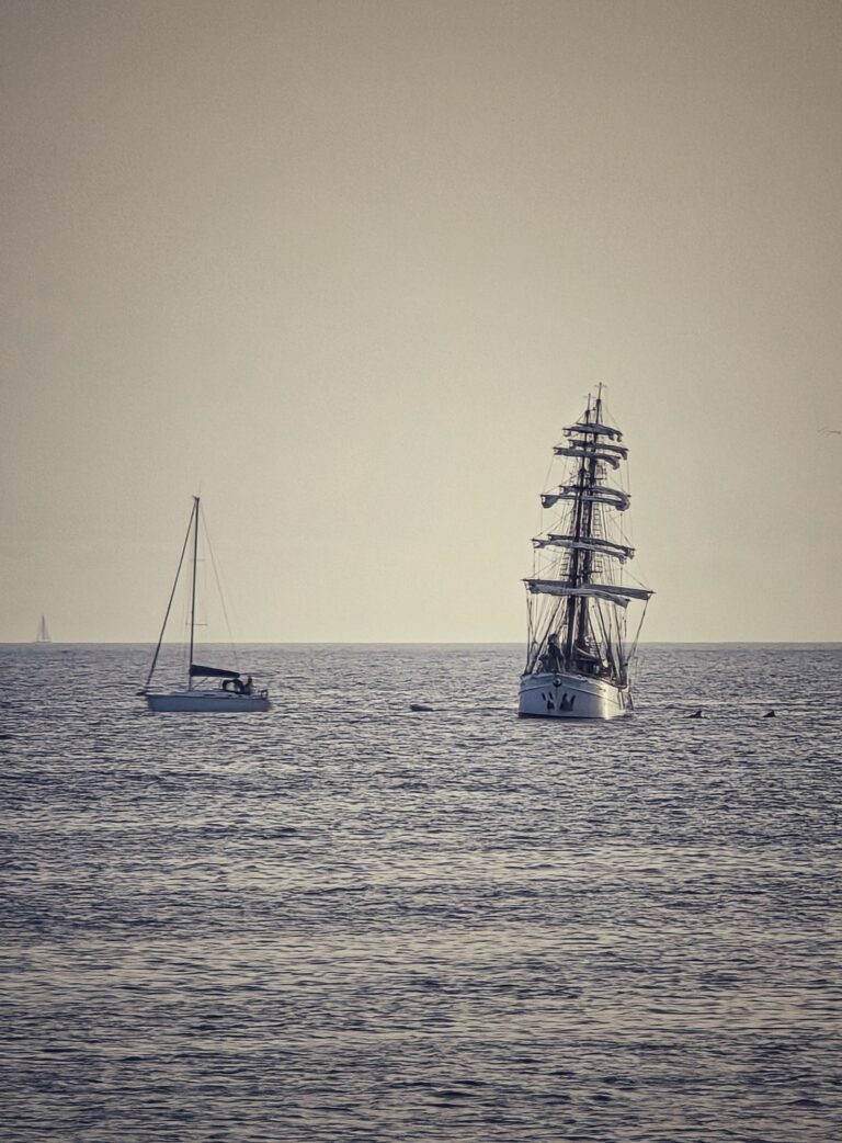 Schönes Segelschiff ⛵️ in der Bucht